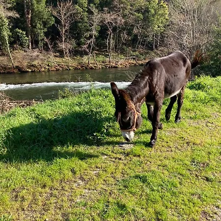 Quinta De Varzielas - 펜션 *