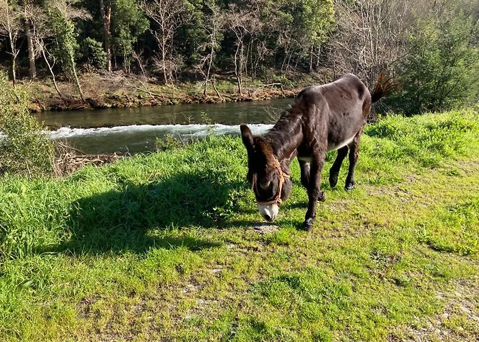 Quinta De Varzielas - Vakantiehuis *
