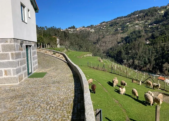Quinta De Varzielas - Vakantiehuis Castelo de Paiva