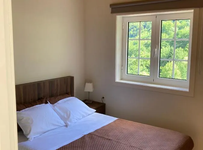 Quinta De Varzielas - * Castelo de Paiva